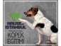 Köpek Eğitimi