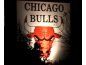 CHICAGO BULLS RESTAURANT - BAR