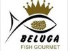 Beluga Fish Gourmet