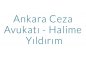 Ankara Ceza Avukatı - Halime Yıldırım