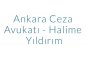 Ankara Ceza Avukatı - Halime Yıldırım