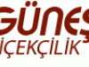 GÜNEŞ ÇİÇEKCİLİK