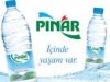 PINAR SU ATAŞEHİR BAYİİ