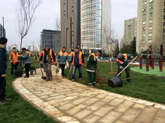 Meriç Caddesi Parkı Ağaçlandırma Çalışması