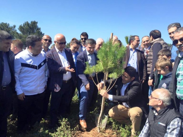 Ak Parti Ataşehir Ağaç Dikme Etkinliği 2016