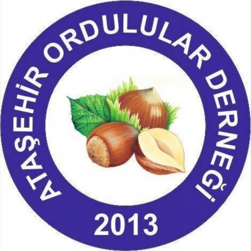 Ataşehir Ordulular Derneği  logo