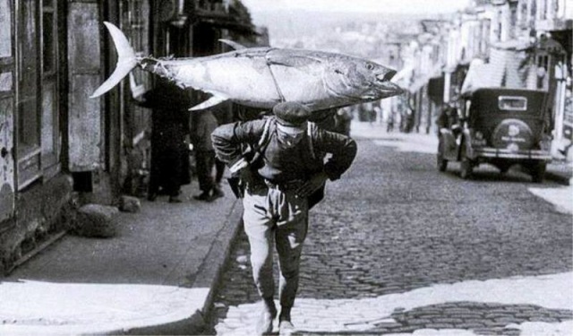 Bir Zamanlar Marmara, İstanbul Balık Manzara Fotoğrafları