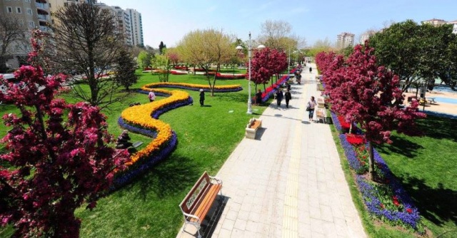 Kadıköy Göztepe Parkı Lale Resimleri 2017