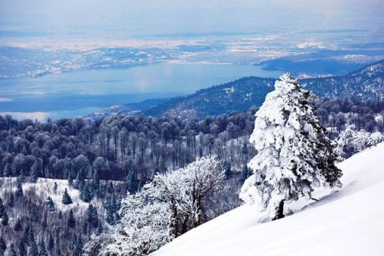 Kış Manzaraları, orman ve kar