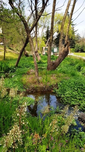 Nezahat Gökyiğit Botanik Bahçesi, Ataşehir