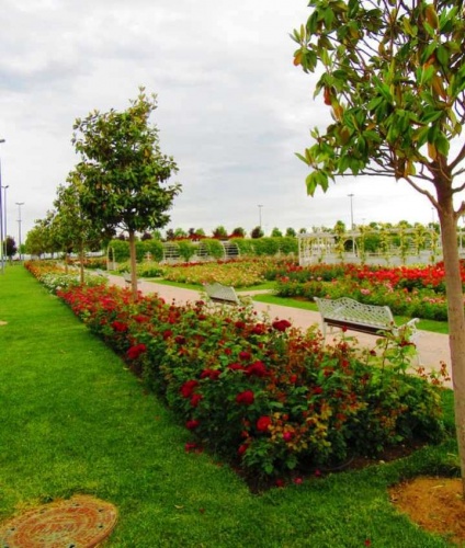 Park, Bahçe Peyzaj Resimleri 2019