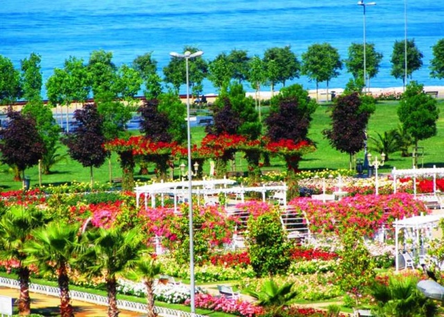 Park, Bahçe Peyzaj Resimleri 2019