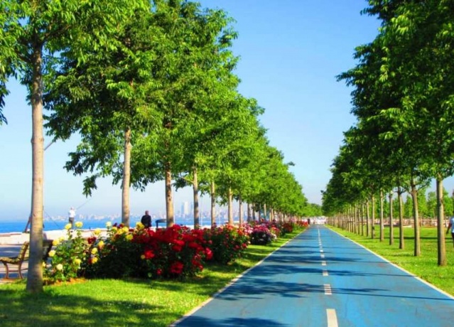 Park, Bahçe Peyzaj Resimleri 2019