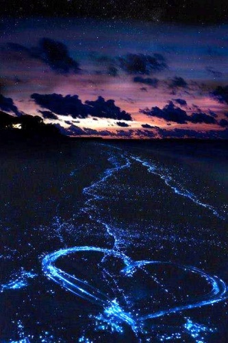 Dünyanın en güzel doğal gösterisi, Bu olay maldiv adaları sahillerinde oluşuyor. sıcaklık çok yüksek, gece çok karanlık, Göründüğü gibi, yıldızların ışıkları suya yansıyarak suda oluşan mavi bir parıltı, ışık resitali.