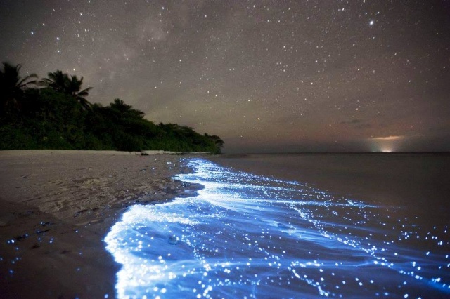 Dünyanın en güzel doğal gösterisi, Bu olay maldiv adaları sahillerinde oluşuyor. sıcaklık çok yüksek, gece çok karanlık, Göründüğü gibi, yıldızların ışıkları suya yansıyarak suda oluşan mavi bir parıltı, ışık resitali.