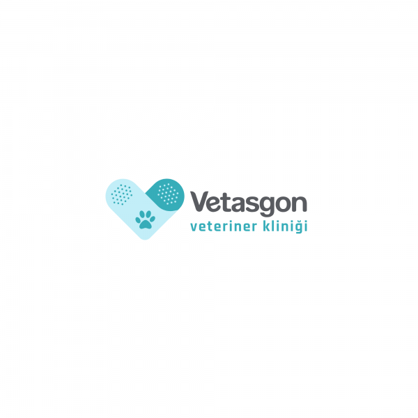 Vetasgon Kartal Veteriner Kliniği