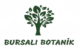 BURSALI BOTANİK