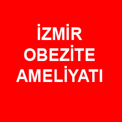 İzmir Obezite Maliyatı