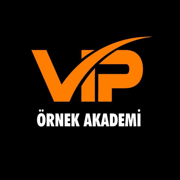 Vip Örnek Akademi