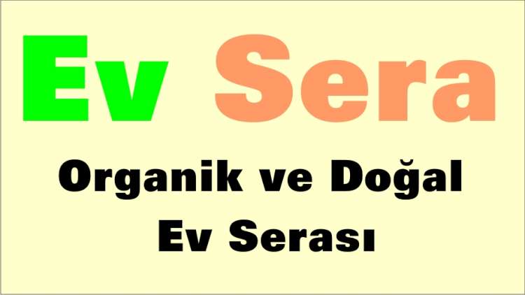 Evsera ile Nano Teknolojik Tarım Uygulamaları