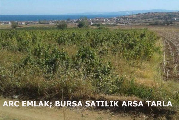 ARC EMLAK Bursa satılık arsa satılık tarla