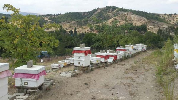 KADİR YILMAZ  Amasya  karakovan balı,süzme bal,çiç