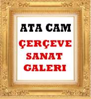 ATA CAM