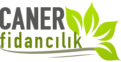 CANER FİDANCILIK