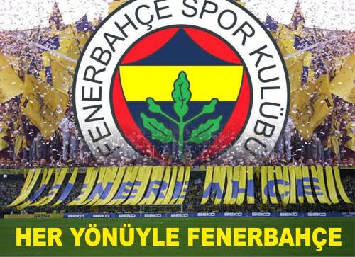 Fenerbahçe Spor Kulübü - Tarihi - Kazandığı Kupalar - Adres ve Telefon Numaraları