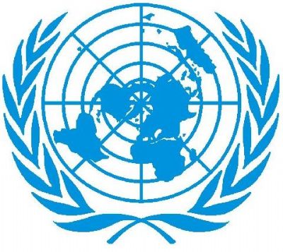 BM: İnternet İnsan Hakkı