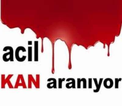 ACELE KAN ARANIYOR