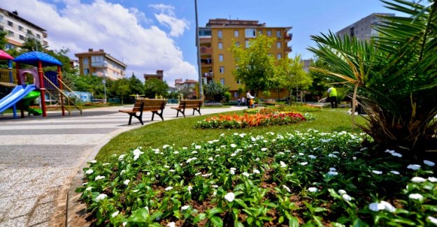 Maltepe çiçek açtı