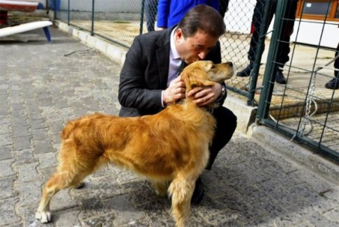 Maltepe’de 6 ayda 580 sokak hayvanı tedavi edildi