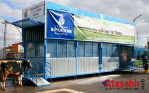 İstanbul Büyükşehir Belediyesi Kurban Hazırlıklarını Tamamladı