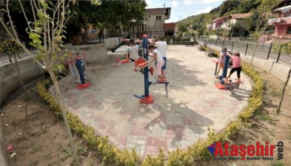 Beykoz, Tokatköy Parkı Cıvıl Cıvıl