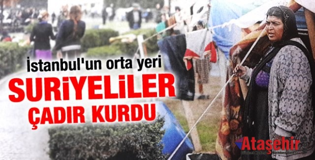 Sadace İstanbul'da tüm Avrupa'dan daha fazla sığınmacı var