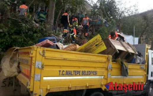 Maltepe’de belediyeden çöp ev operasyonu