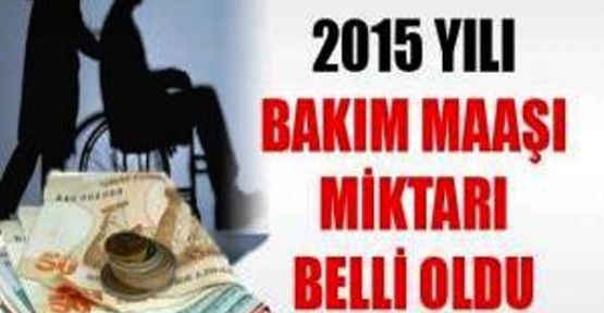 2015 Engelli Evde Bakım Ücretleri