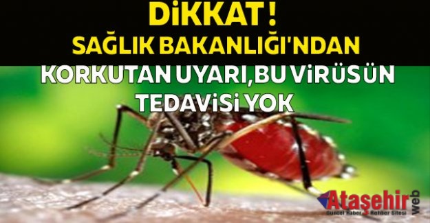 Dünya'da Zika virüsü alarmı, Zika virüsü nedir?