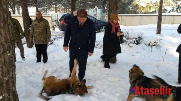 Maltepe  Belediyesi 9 bin “dostuna”kucak açtı