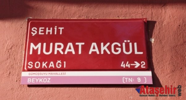 Beykoz Şehit Adlarıyla Onurlanıyor