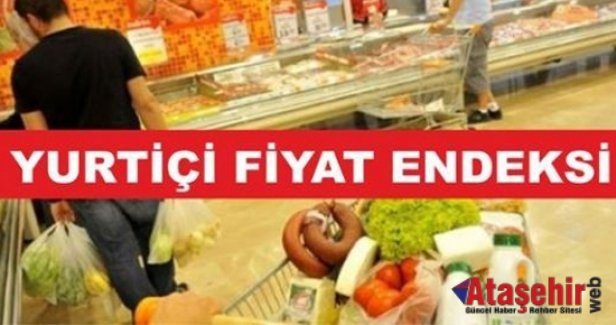 Yurt içi üretici fiyat endeksi aylık %0,55 arttı