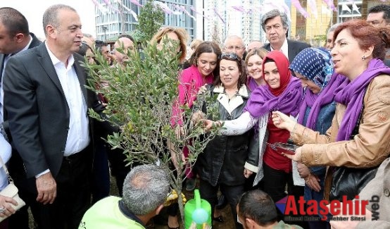 Ataşehir’de 81 ilden gelen kadınlar 81 meyve fidanı dikti