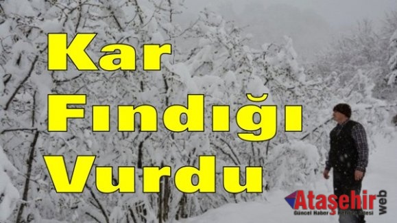 Kar Fındığı Vurdu