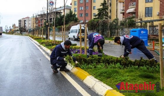 Maltepe'de Parklara bahar geldi