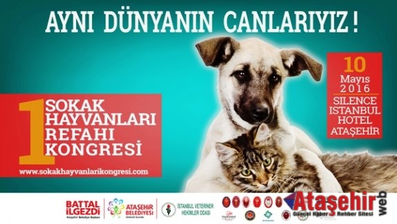 1.	Sokak Hayvanları Refahı Kongresi Ataşehir’de yapılacak