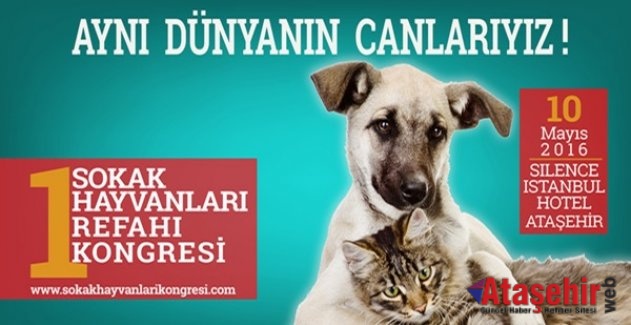 1. Sokak Hayvanları Refahı Kongresi