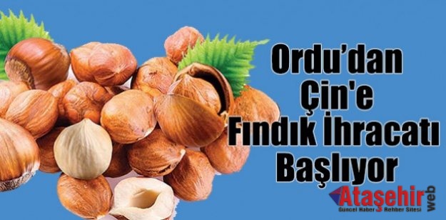 Fındık ihracatında Çin sevinci