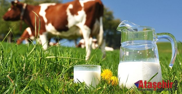 Süt ve Süt Ürünleri Üretimi, Nisan 2016