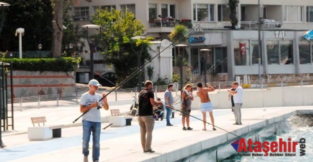 Beykoz,  Kanlıca-Çubuklu Sahil Yolu’nda Keyif Zamanı